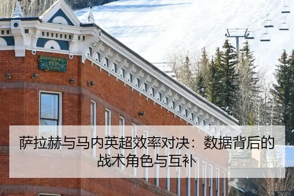 sa-la-he-yu-ma-nei-ying-chao-xiao-lv-dui-jue-shu-ju-bei-hou-de-zhan-shu-jue-se-yu-hu-bu-2-538.jpg